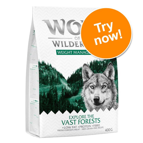 Wolf of Wilderness 