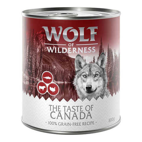Wolf of Wilderness Adult 