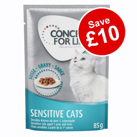 48 x 85g Concept for Life Wet Cat Food - Save £10!* Pet Supplies