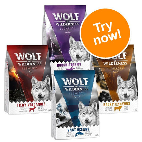 Wolf of Wilderness 