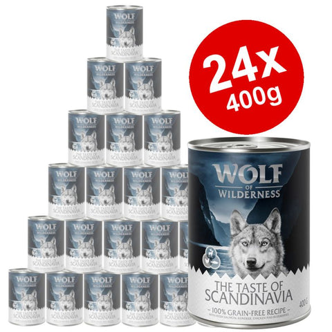 Wolf of Wilderness 