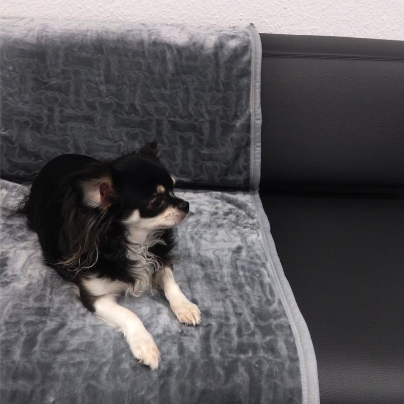 Bones Snuggle Blanket - XXL Grey Pet Supplies