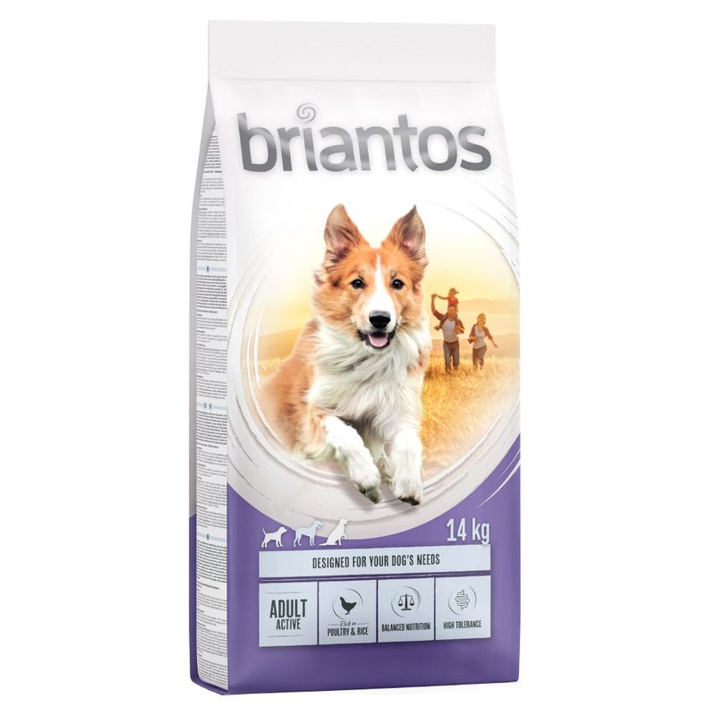 Briantos Adult Active Pet Supplies