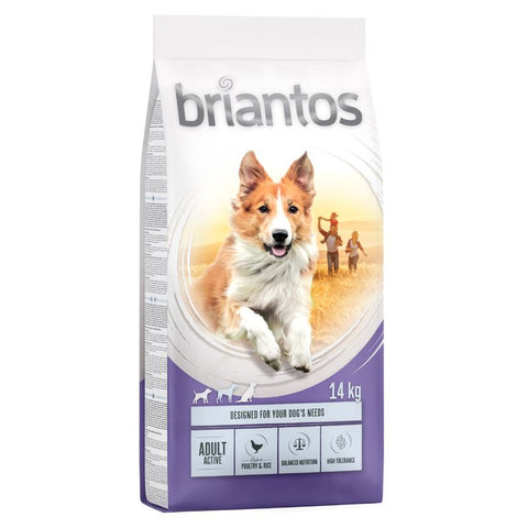 Briantos Adult Active Pet Supplies