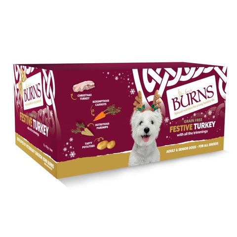 Burns Festive Turkey Wet Dog Food 12 x 150g Pet Supplies