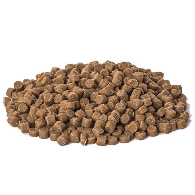 Caniland Soft Poultry Trainees - XXL Tub Pet Supplies
