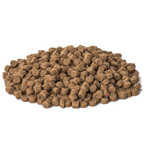 Caniland Soft Poultry Trainees - XXL Tub Pet Supplies