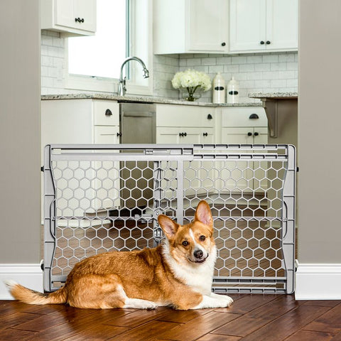 Carlson Expandable Plastic Pet Gate Pet Supplies