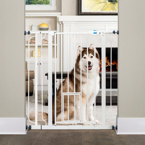 Carlson Extra High Pet Gate with Cat Flap Pet Supplies