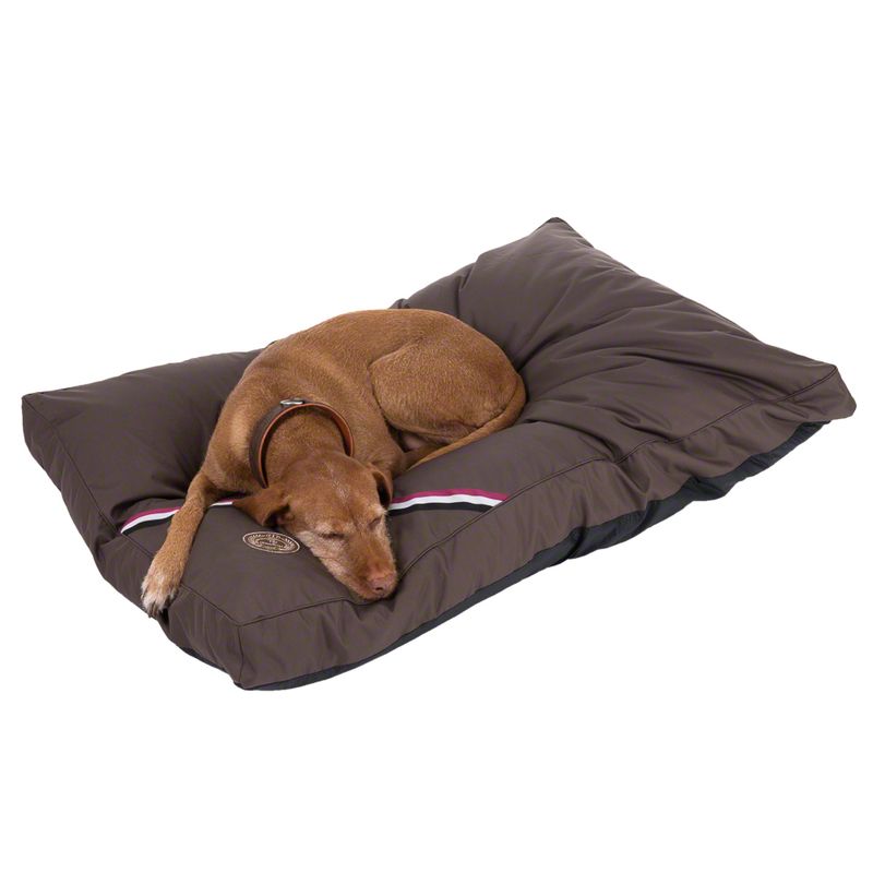 Champion Dog Cushion - Brown Pet Supplies