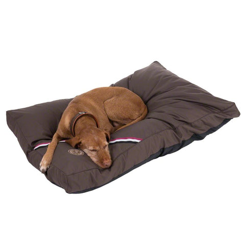 Champion Dog Cushion - Brown Pet Supplies