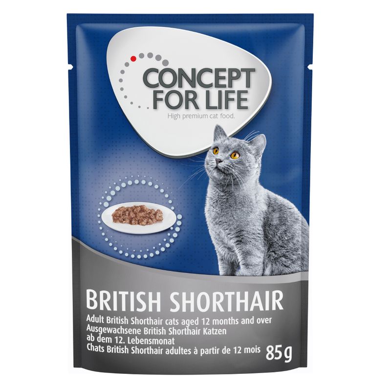 Concept for Life British Shorthair Adult - in Ragout Pet Supplies