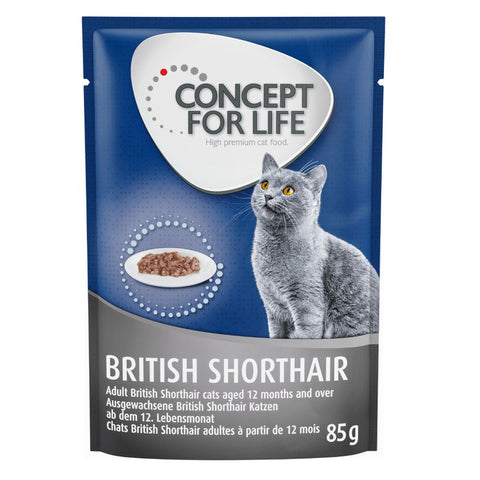 Concept for Life British Shorthair Adult - in Ragout Pet Supplies