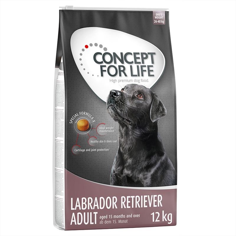 Concept for Life Labrador Retriever Adult Pet Supplies