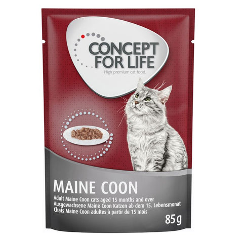 Concept for Life Maine Coon Adult - in Ragout Pet Supplies