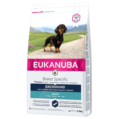 Eukanuba Dachshund Adult Pet Supplies