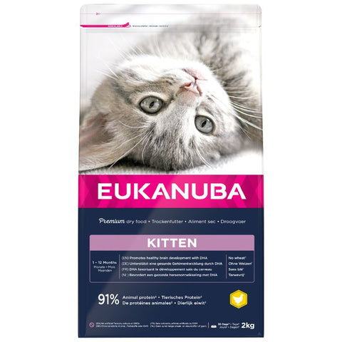 Eukanuba Healthy Start Kitten Pet Supplies