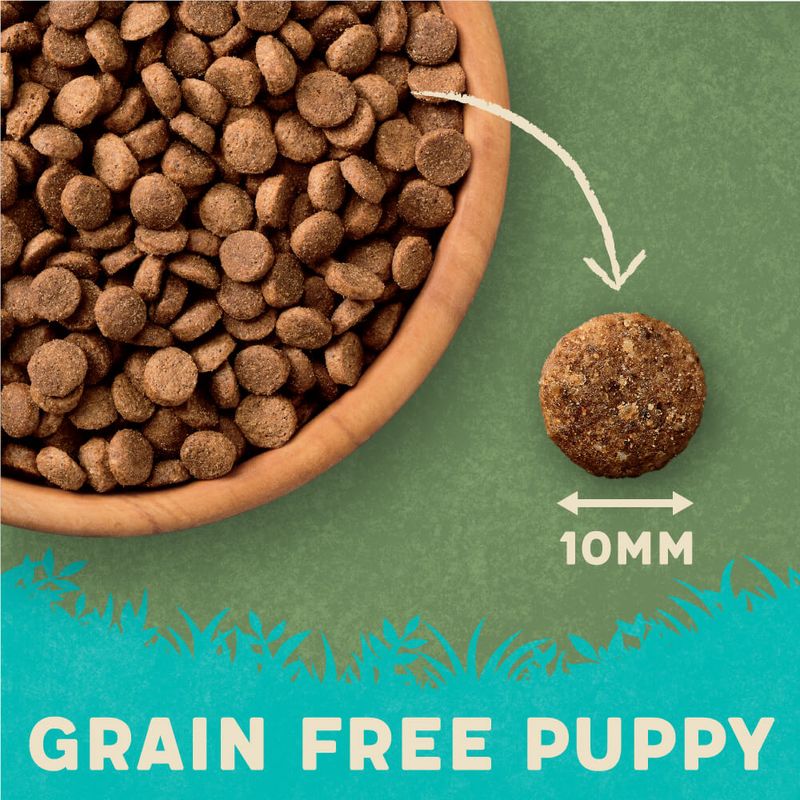Harringtons Grain-Free Hypoallergenic Puppy - Chicken & Sweet Potato Pet Supplies