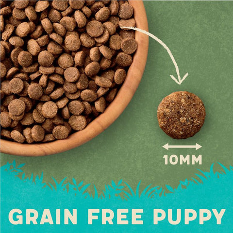 Harringtons Grain-Free Hypoallergenic Puppy - Chicken & Sweet Potato Pet Supplies