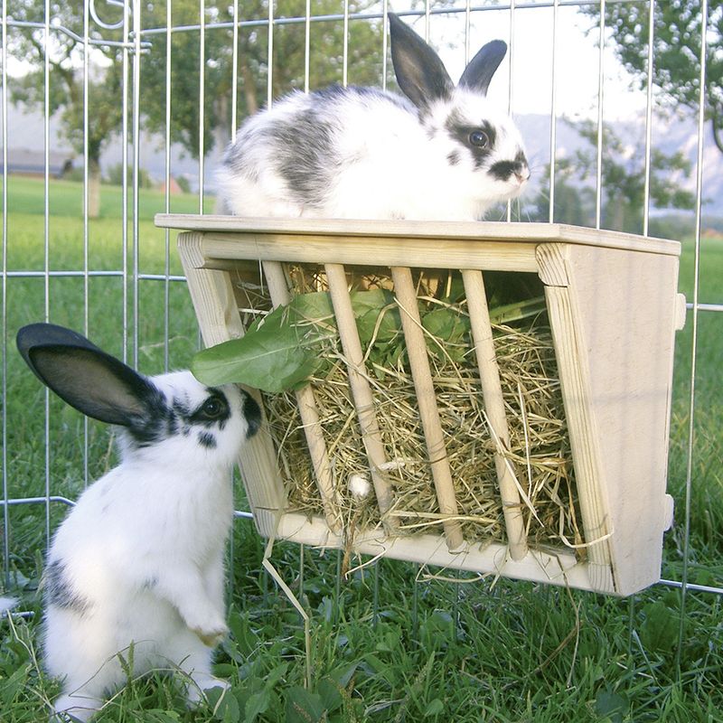 Hay Rack with Sitting Platform Pet Supplies