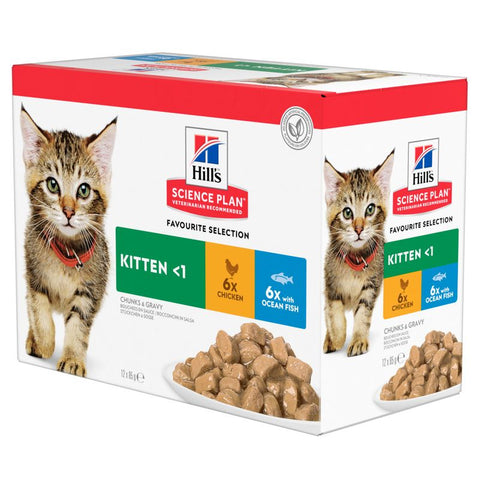 Hill's Science Plan Kitten Pouches Pet Supplies