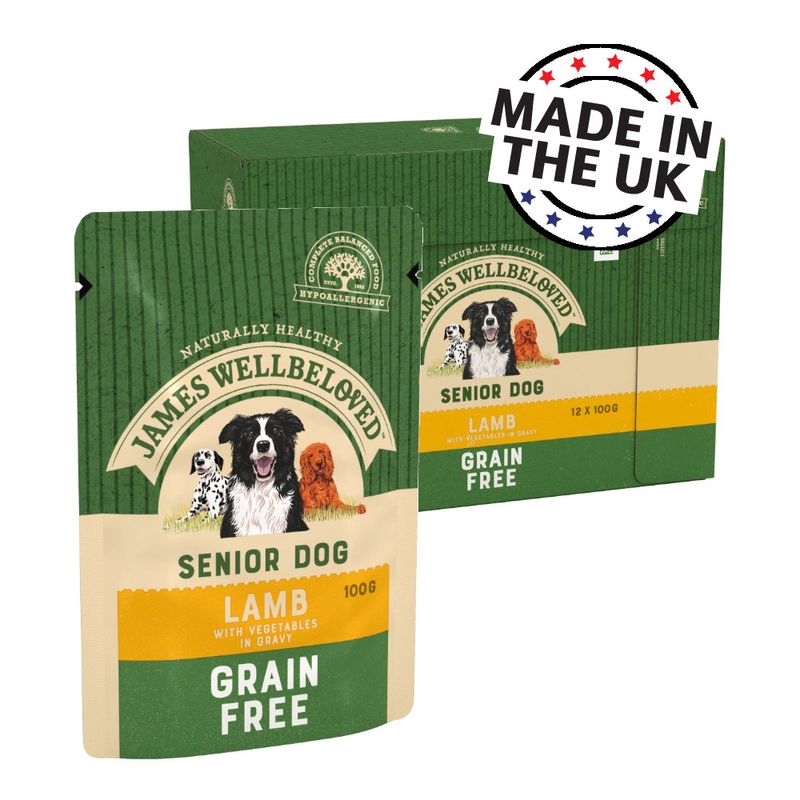 James Wellbeloved Senior Grain Free Pouches - Lamb with Vegetables Pet Supplies