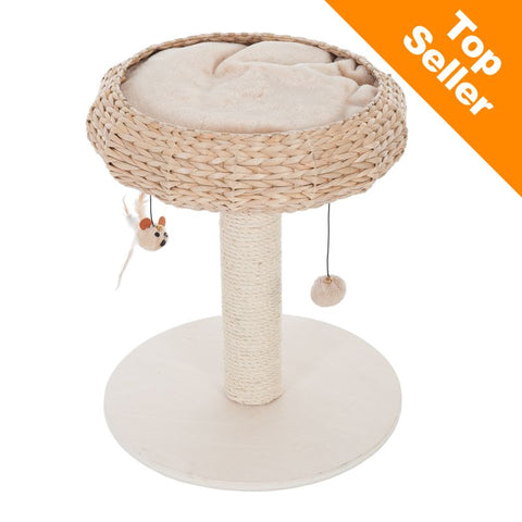 Natural Home I Cat Tree Pet Supplies
