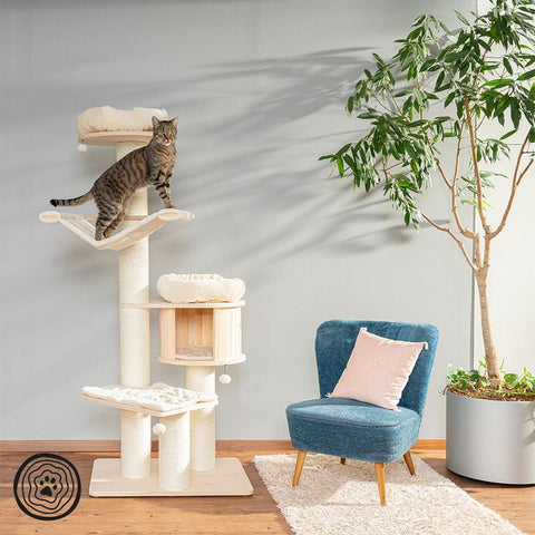 Natural Paradise Scratching Tree - Magnolia XL Plus Pet Supplies