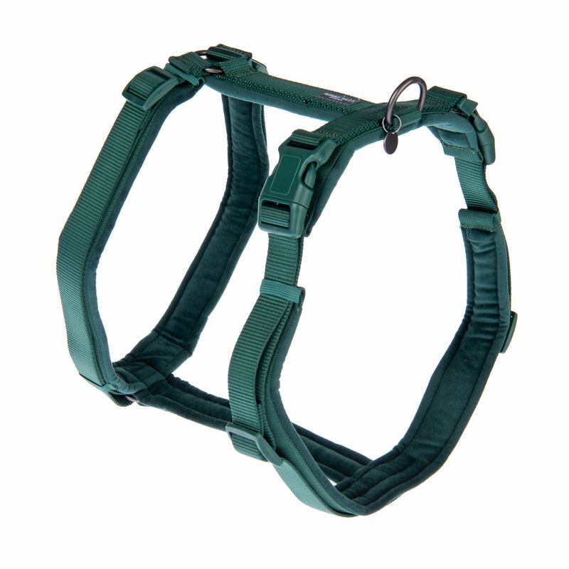 Nomad Tales Blush Harness - Emerald Pet Supplies