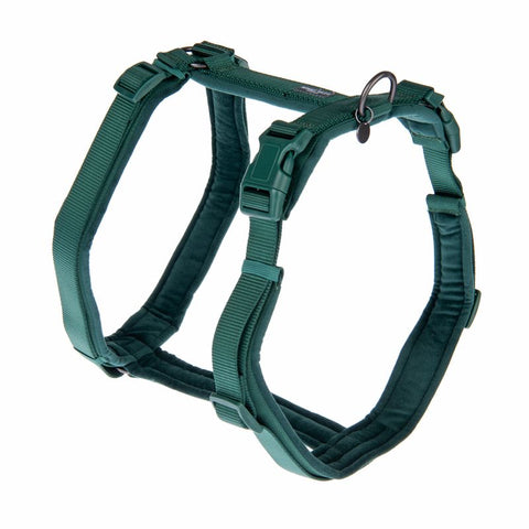 Nomad Tales Blush Harness - Emerald Pet Supplies