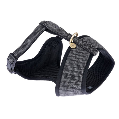 Nomad Tales Calma Harness - Ebony Pet Supplies