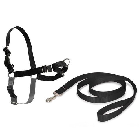 PetSafe® Easy Walk® Harness Pet Supplies