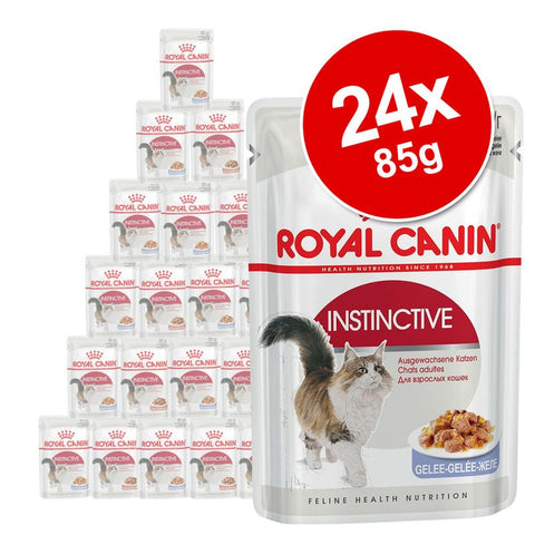 Royal Canin Adult Jelly & Gravy Mixed Pack 24 x 85g Pet Supplies