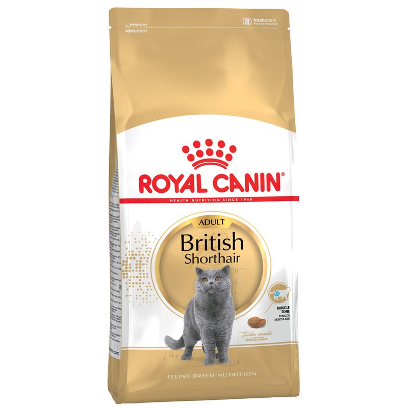 Royal Canin British Shorthair Adult Pet Supplies