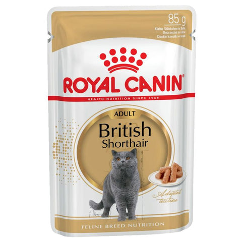 Royal Canin British Shorthair Adult in Gravy Pet Supplies