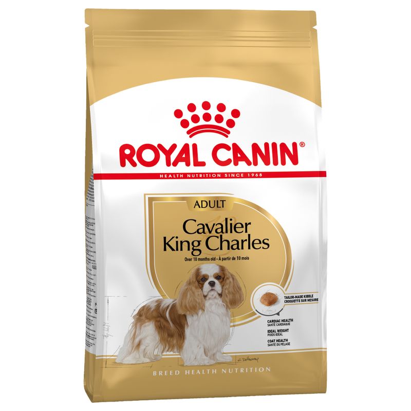 Royal Canin Cavalier King Charles Adult Pet Supplies