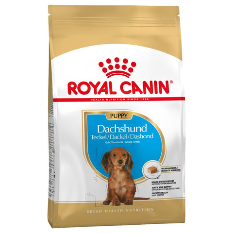 Royal Canin Dachshund Puppy Pet Supplies