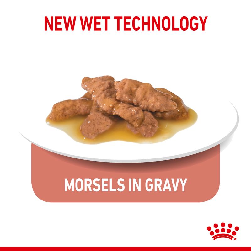 Royal Canin Indoor Sterilised in Gravy Pet Supplies