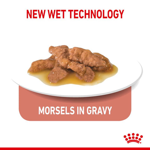 Royal Canin Indoor Sterilised in Gravy Pet Supplies