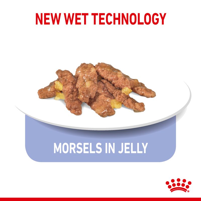 Royal Canin Indoor Sterilised in Jelly Pet Supplies
