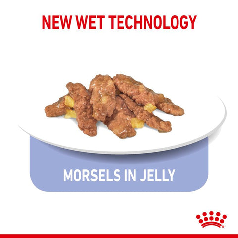 Royal Canin Indoor Sterilised in Jelly Pet Supplies