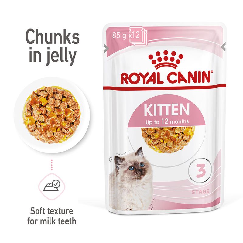 Royal Canin Kitten in Jelly Pet Supplies