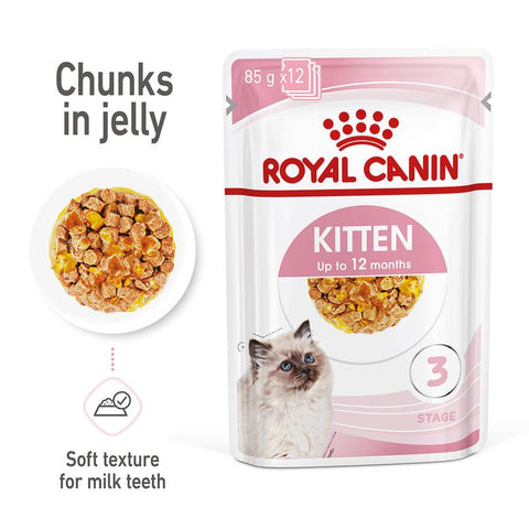 Royal Canin Kitten in Jelly Pet Supplies