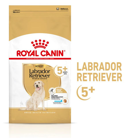 Royal Canin Labrador Retriever Adult 5+ Pet Supplies