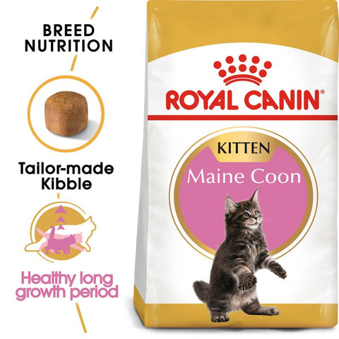 Royal Canin Maine Coon Kitten Pet Supplies