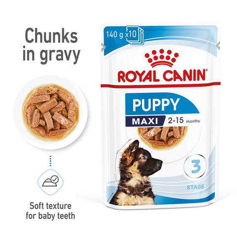 Royal Canin Maxi Puppy in Gravy Pet Supplies