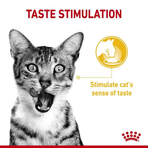 Royal Canin Sensory Taste in Gravy Pet Supplies