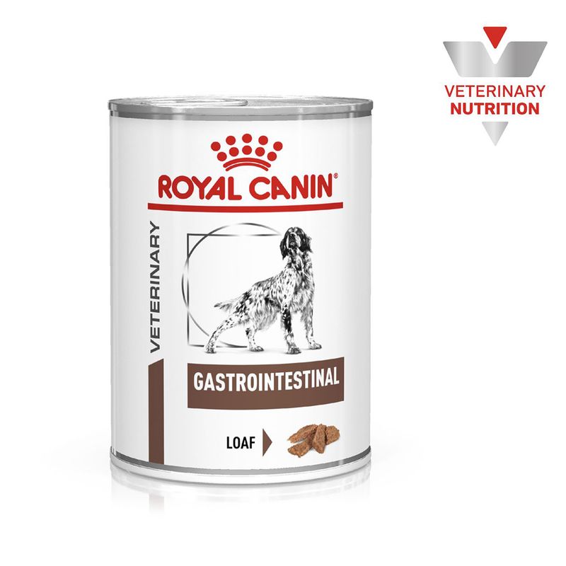 Royal Canin Veterinary Canine Gastrointestinal Loaf Pet Supplies