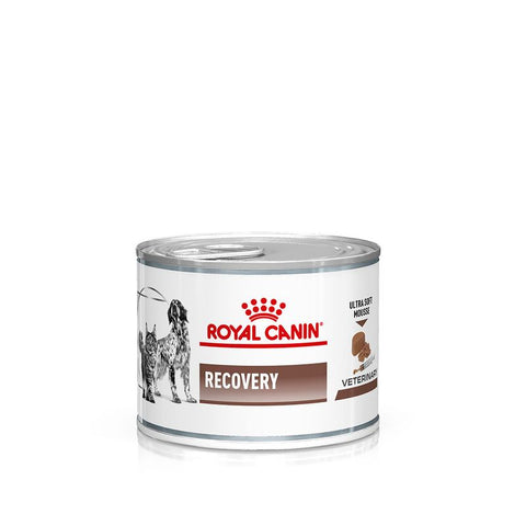 Royal Canin Veterinary Dog & Cat – Recovery Mousse Pet Supplies