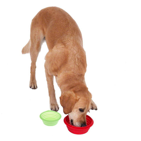 Silicone Travel Bowl Pet Supplies
